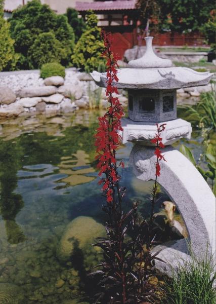 lampa Rankei s bránou v pozadí (zahrada autora)