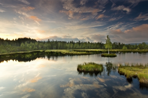 Chalupská slať, Šumava