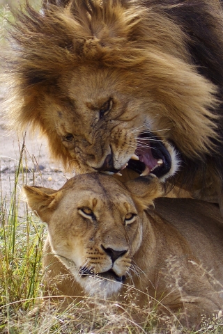 manželský rozhovor