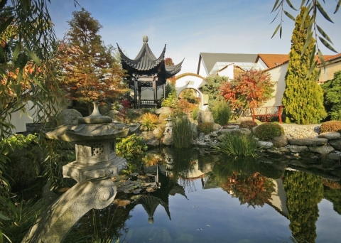 Asijské zahrady - rozhovor Asijské zahrady - rozhovor