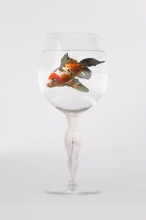 "živá sklenička", Bára