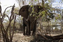 0,5 vteřiny před útokem