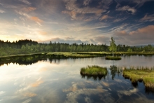 Chalupská slať, Šumava