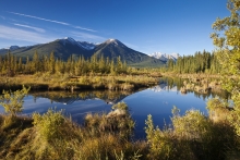 losí jezírko v okolí Banff