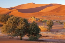 ráno mezi nejvyššími dunami světa v Sussusvlei, Namibie